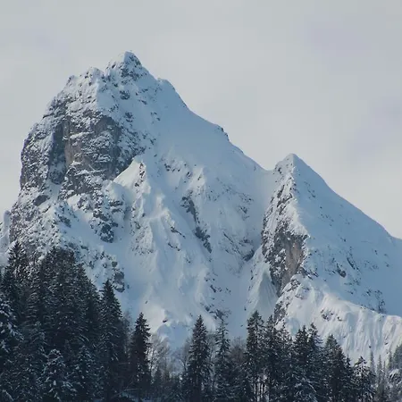 Appartement Haus Laedeler Schruns